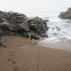 Illustration for article titled 10,000 Mile Road Trip: Day 13 - Redondo Beach to Cambria